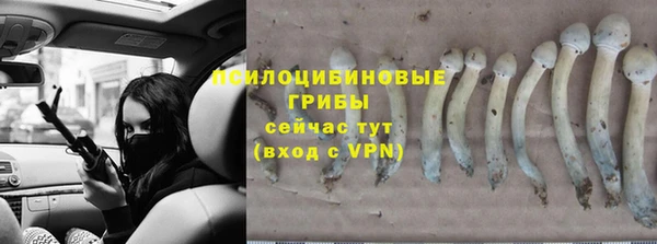 прущие крисы Лихославль