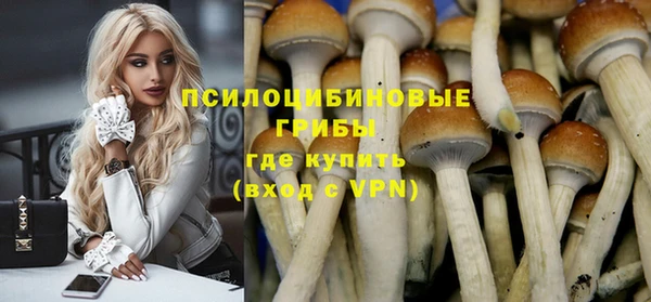 герыч Липки
